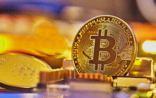 cryptocurrencies